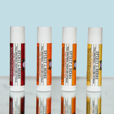 Our Top 5 SUMMER﻿TIME ESSENTIALS