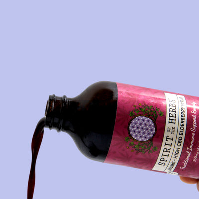 Elderberry Syrup and Fire Cider Making Class 10/12