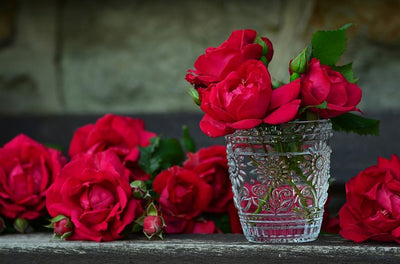 Rose Petals, Red